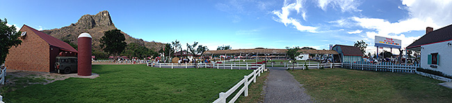 Swiss sheep farm