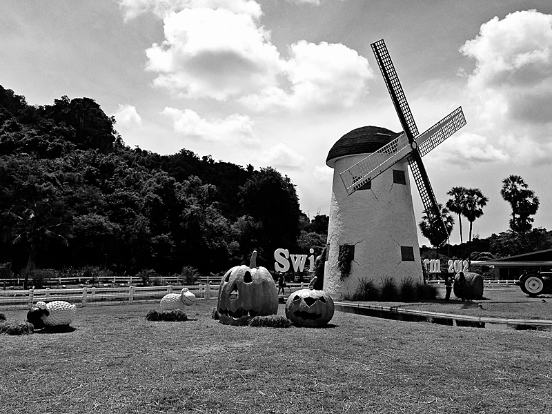 Swiss sheep farm - hua hin