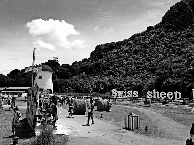 Swiss sheep farm - hua hin