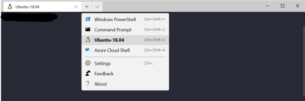 windows subsystem 2